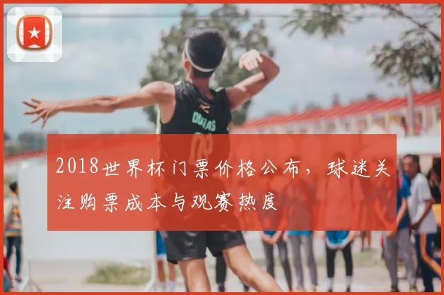 2018世界杯门票价格公布,球迷关注购票成本与观赛热度