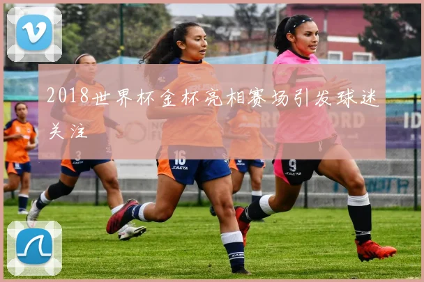 2018世界杯金杯亮相赛场引发球迷关注