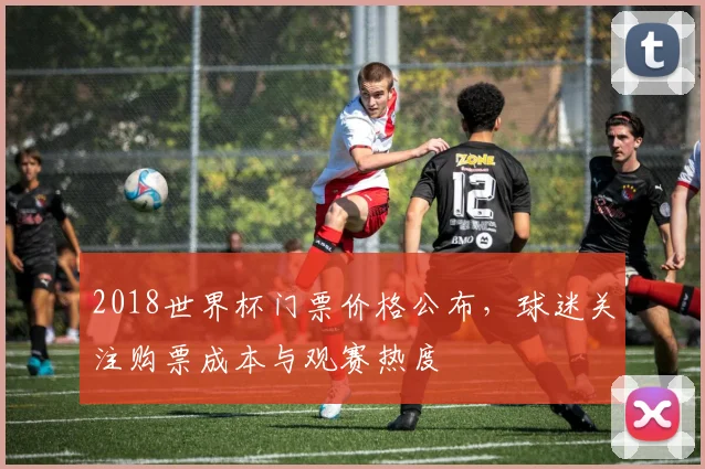 2018世界杯门票价格公布,球迷关注购票成本与观赛热度