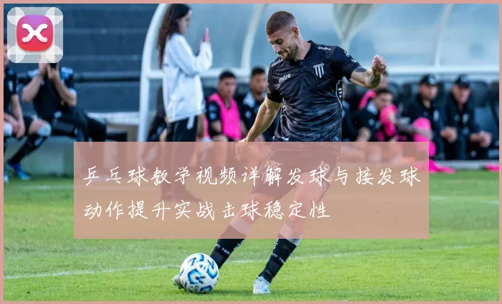 乒乓球教学视频详解发球与接发球动作提升实战击球稳定性
